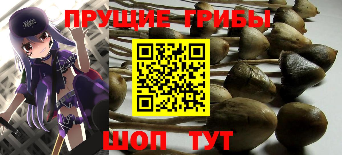 Галлюциногенные грибы GOLDEN TEACHER  Галлюциногенные грибы Psilocybe  Севастополь  Вход с VPN 